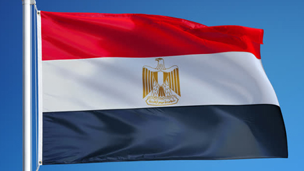 استقرار في اعداد السيارات المرخصة في مصر بشهر أغسطس – مرسيدس بنز تعود للترتيب مرة اخرى
